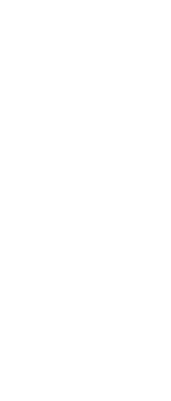 豊富な海産物を