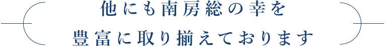 豊富に取り揃えております