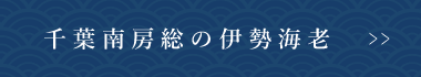 千葉南房総の伊勢えび