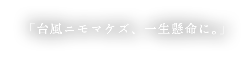 「台風ニモマケズ、一生懸命に。」