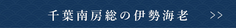 千葉南房総の伊勢海老